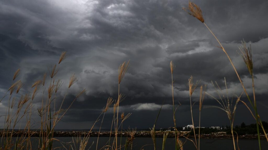 Western Australia’s northwest coast is on alert after Tropical Cyclone Narelle reformed at sea.
