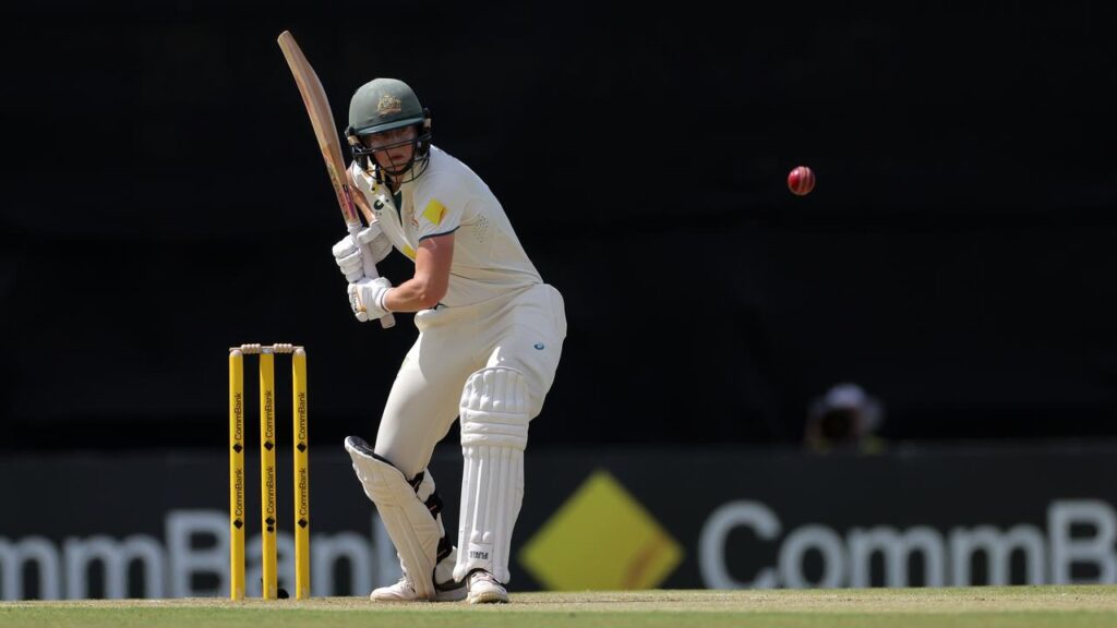 Ellyse Perry has been cleared to play in the day-night Test against India at the WACA Ground.
