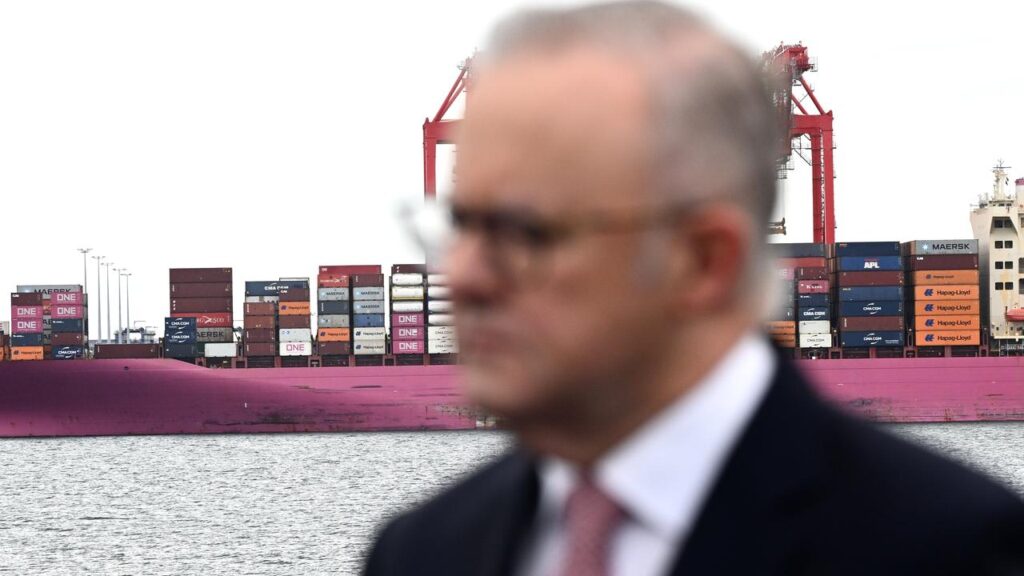 Prime Minister Anthony Albanese says more diesel supplies will buffer against market volatility.
