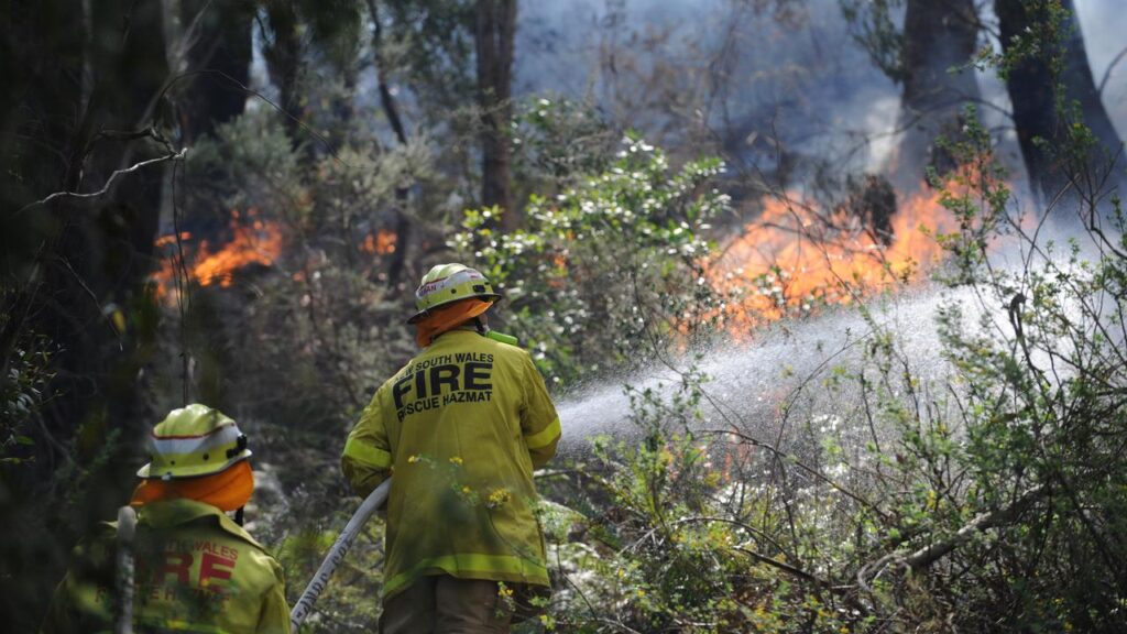AI cameras can quickly detect fires, alerting crews earlier to help bring blazes under control.
