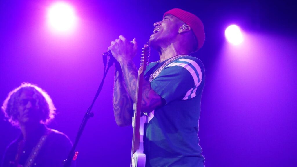 The cancellation of a string of music festivals has had the cultural sector singing the blues.
