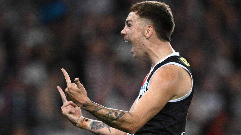 St Kilda’s Lance Collard is set to learn his penalty for allegedly using a homophobic slur.
