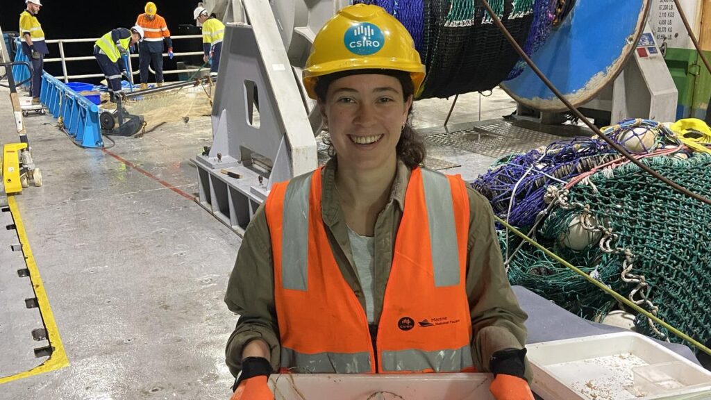 CSIRO researchers have discovered more than 110 new species during a voyage to remote waters.
