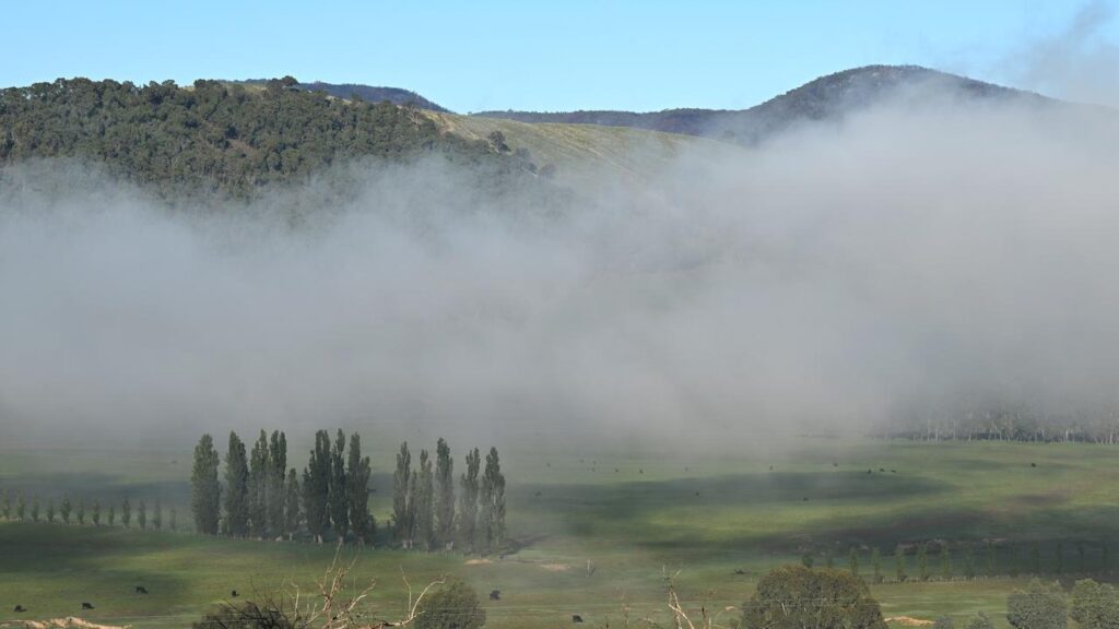 The area where Dezi Freeman had been holed up was blanketed in fog as police scoured the property.
