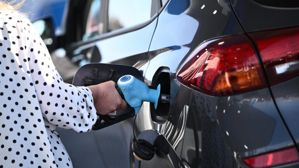 Motorists have seen prices at the bowser soar in the wake of war flaring in the Middle East. 
