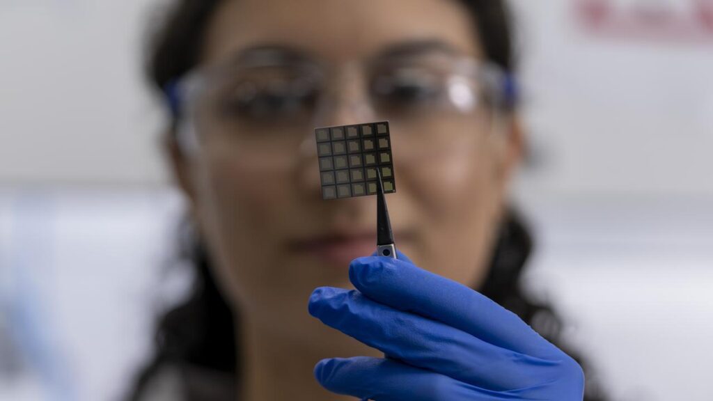 Sydney-based firm Syenta aims to create powerful semiconductors to fuel the next generation of AI. 
