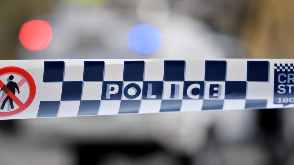A man allegedly stabbed a police officer attempting to arrest him for dangerous driving offences.
