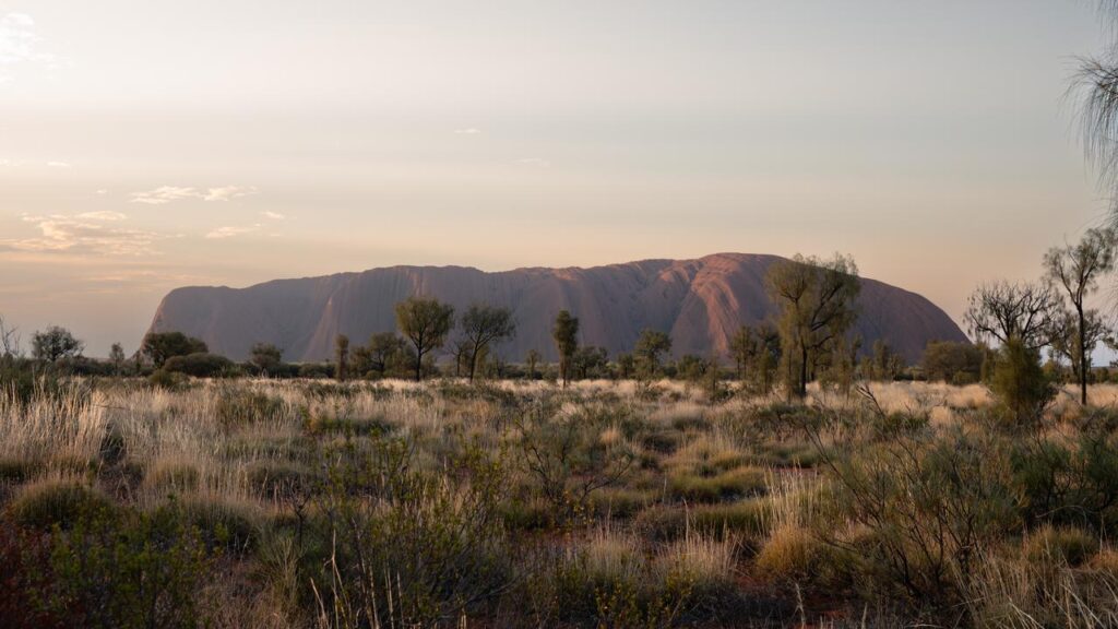Guests at a hotel near Uluru were woken up by the 5.3 magnitude earthquake.
