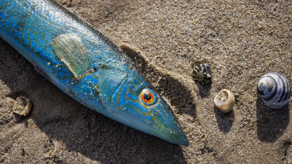 The worst of the devastation that killed tonnes of fish may be over.
