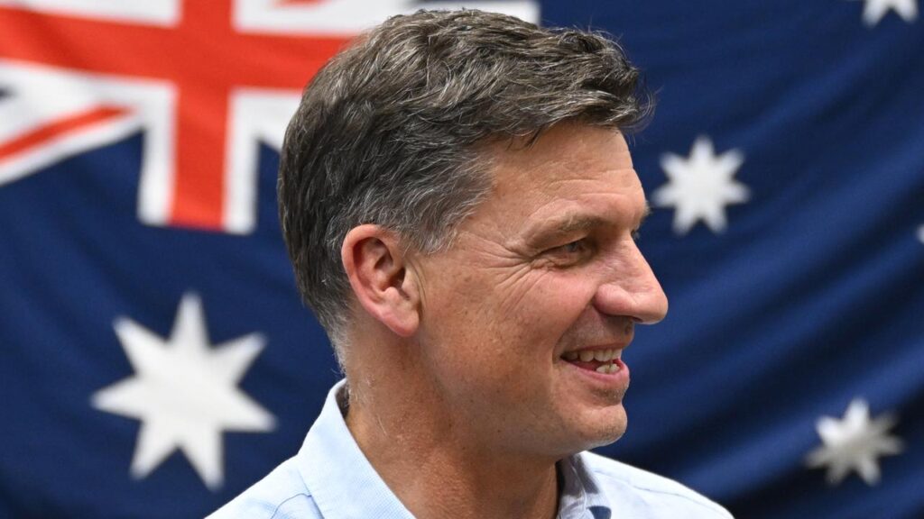 Angus Taylor is being accused of trying to replicate One Nation’s anti-immigration stance.
