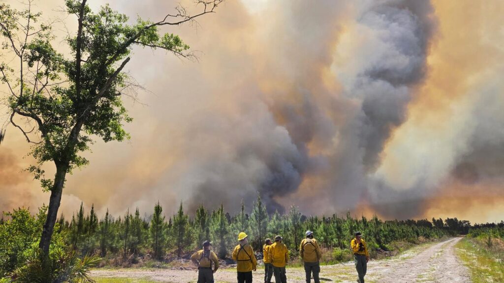 Georgia’s two biggest wildfires together have burned more than 80 square kilometres.
