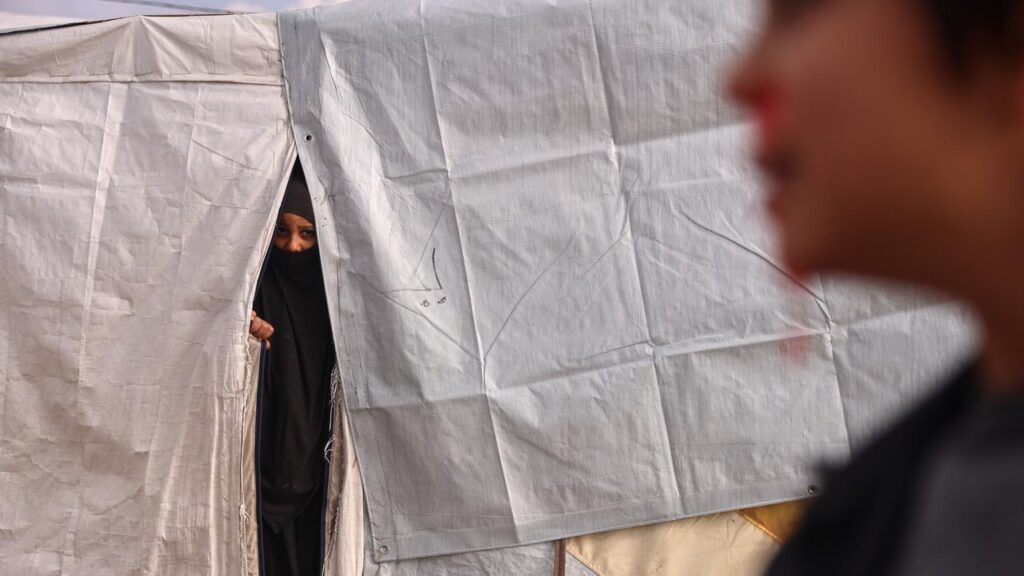 Four women and their nine children have reportedly left Syria’s al-Roj camp.
