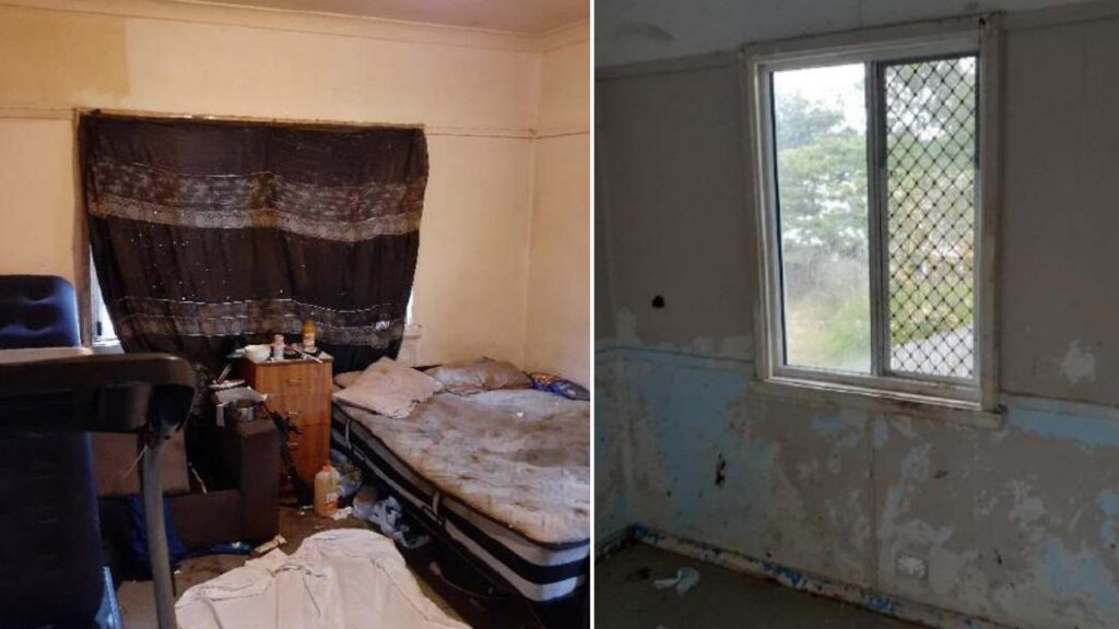 Two brothers were found starving and naked after authorities missed opportunities, a report says.
