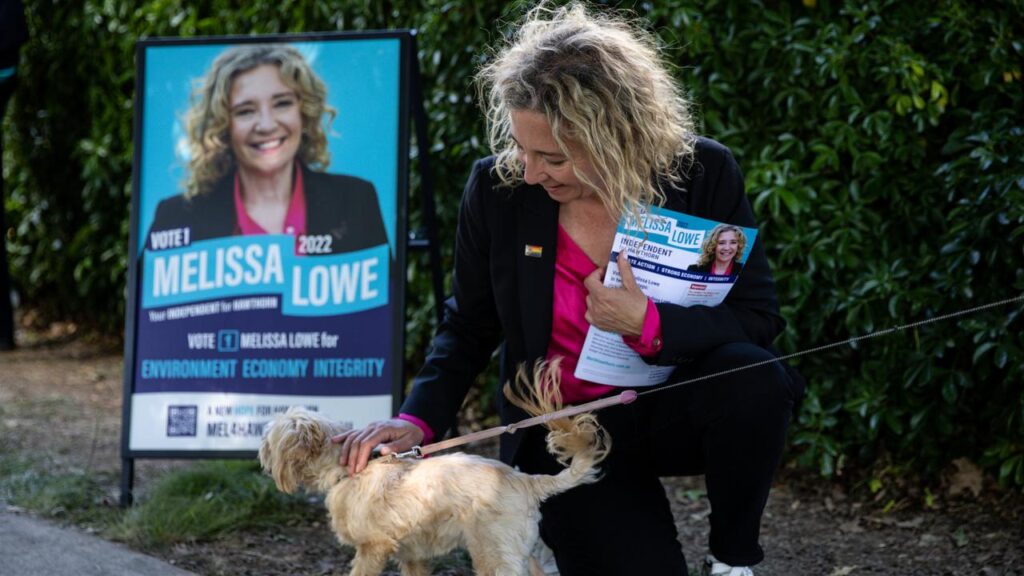 Melissa Lowe was one of two independent candidates who succeeded in a High Court challenge.
