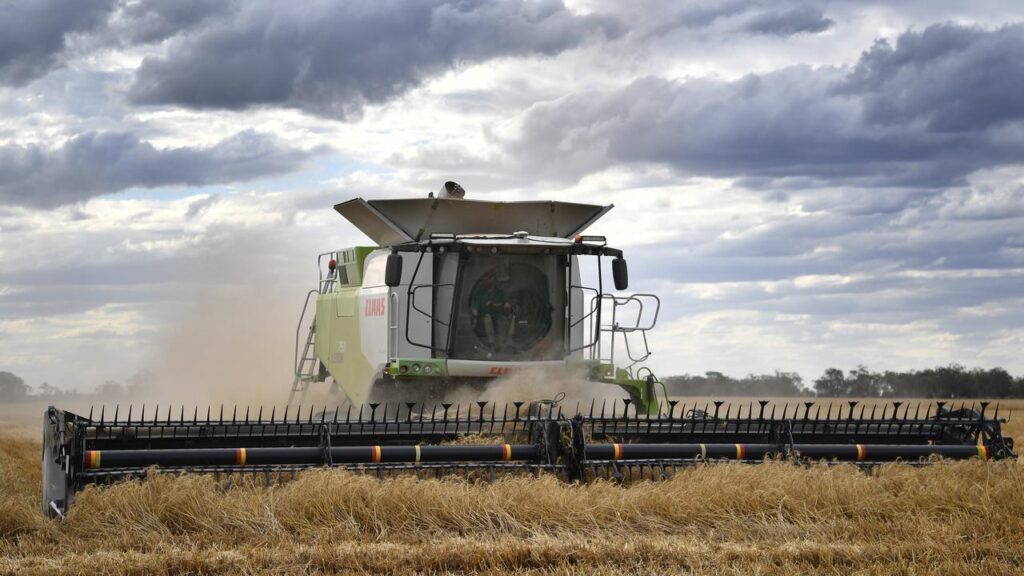 Agricultural businesses had strong returns in 2025 despite challenges, an NAB report found.

