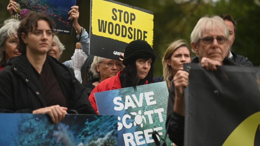 Climate protesters believe Woodside Energy’s oil and gas projects are harming the environment.
