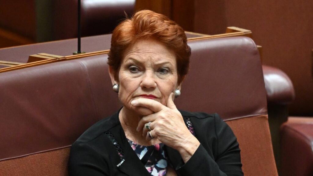 Pauline Hanson believes other parties are copying One Nation’s anti-immigration policies.
