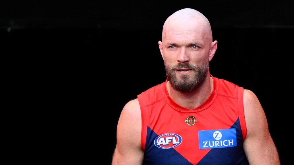 Demons skipper Max Gawn was angered by the comments of sacked AFL appeals board chair Will Houghton.
