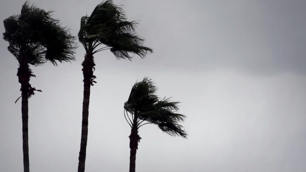 Fiji is readying for strong winds and heavy rain from Vaianu, one of two cyclones in Pacific waters.
