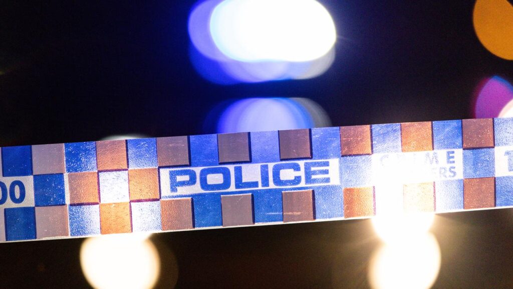 A young girl has been killed after running onto the road in front of a vehicle.
