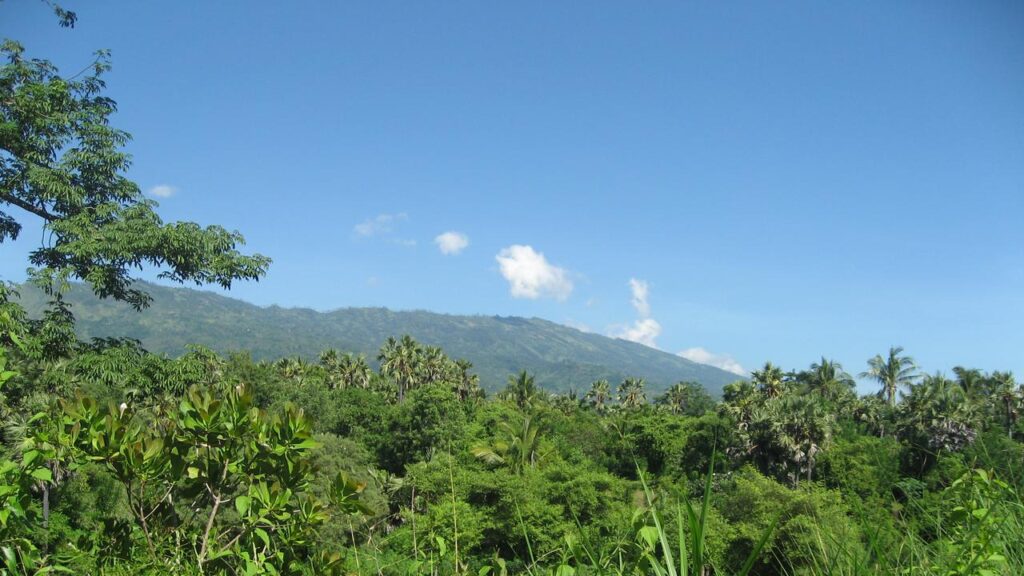 A tsunami warning is in place after an earthquake struck the Northern Molucca Sea ‌off Indonesia.
