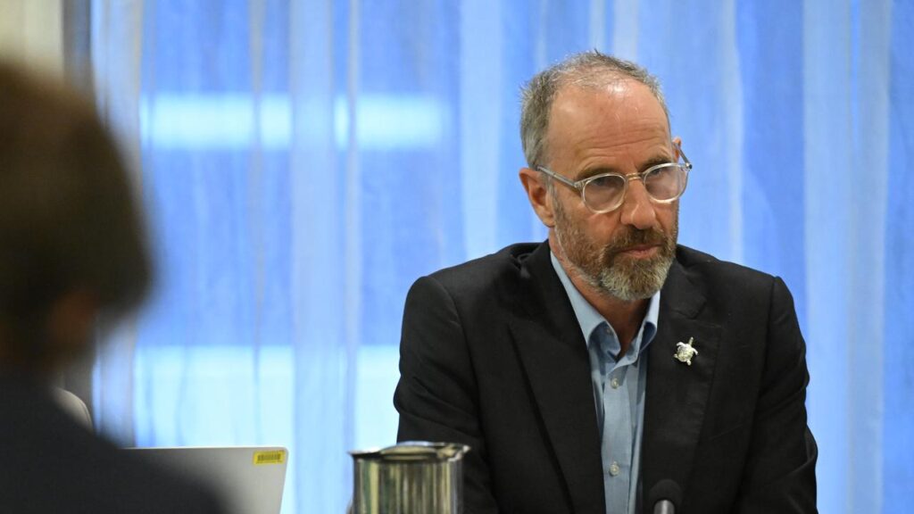Greens economics spokesman Nick McKim says Labor hasn’t gone far enough with tax changes.
