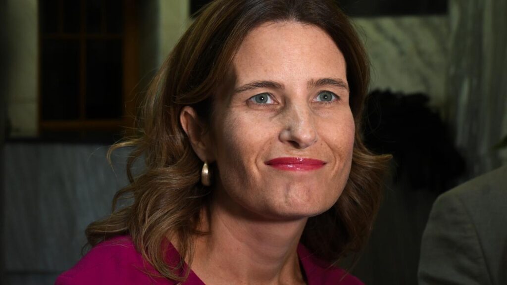 New Zealand’s government has used the budget to launch a brazen pitch for Australians to relocate.
