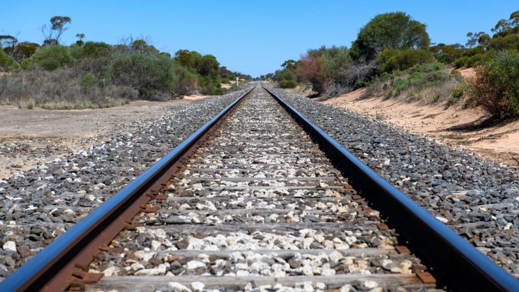 The Nationals want the government to overturn its decision to cut funding for 1600km of inland rail.
