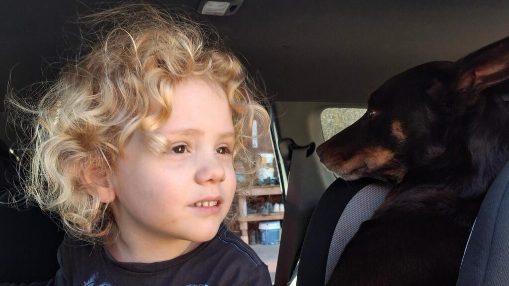 Police conducted a fresh search for missing four-year-old Gus Lamont after heavy rains.

