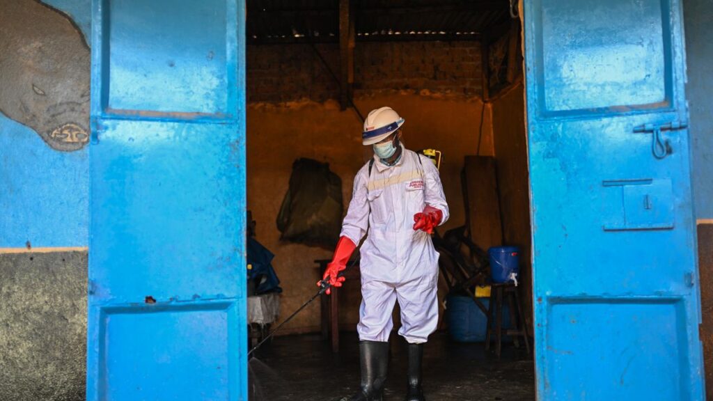 The bodies of those who have died of Ebola can be highly contagious and lead to further infections.
