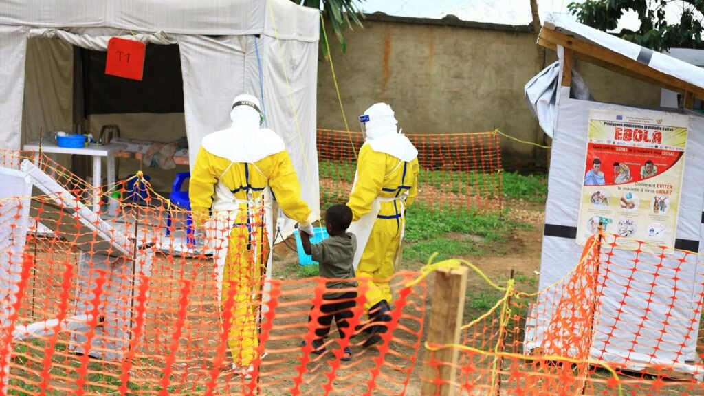 Countries sharing land borders with the DR Congo are at high ‌risk of further spread of Ebola.
