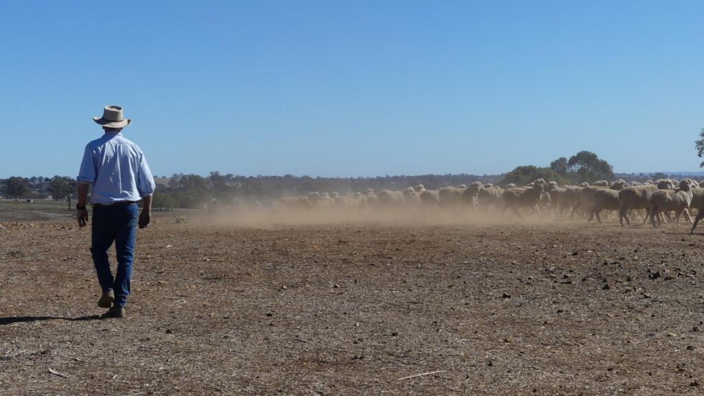 Farmers from east to west are facing a triple whammy as they enter the winter growing season.
