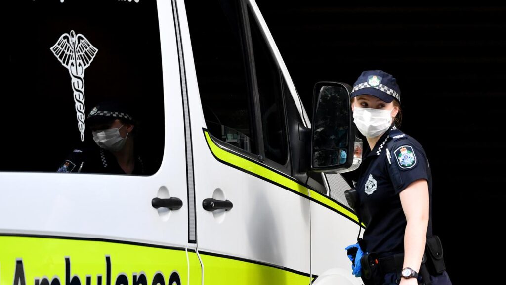A woman is dead and a man is in custody after a head-on crash between a car and a stolen ute.
