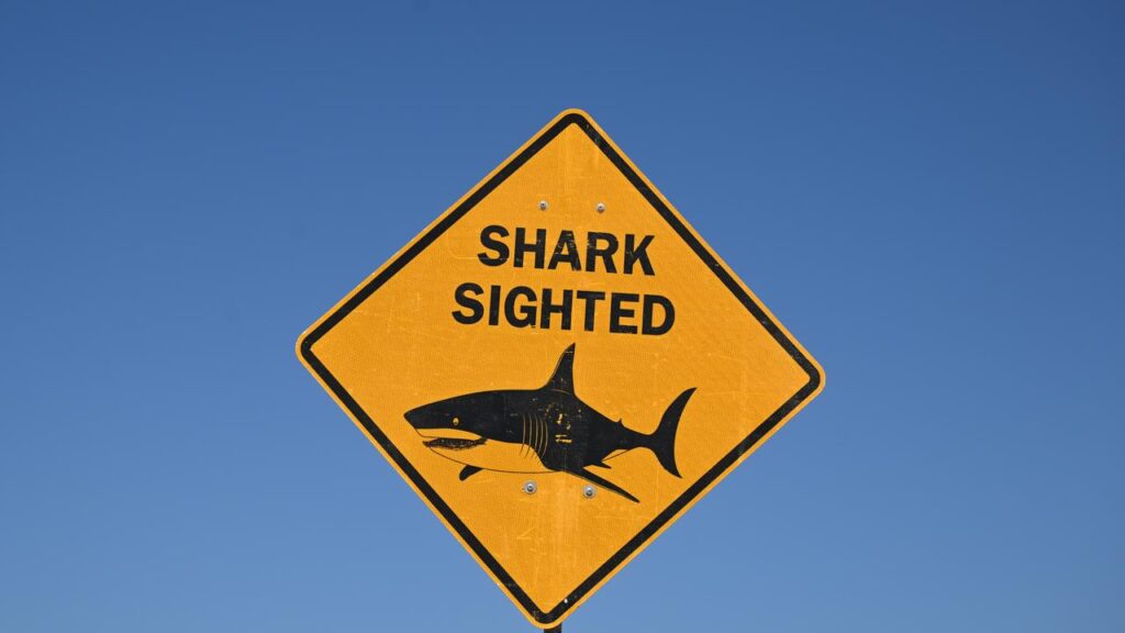 A man has died after being pulled from the water with injuries from a suspected shark attack.
