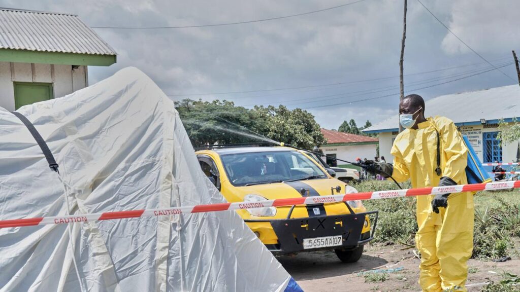 The World Health Organisation says the Ebola outbreak will probably last for months.
