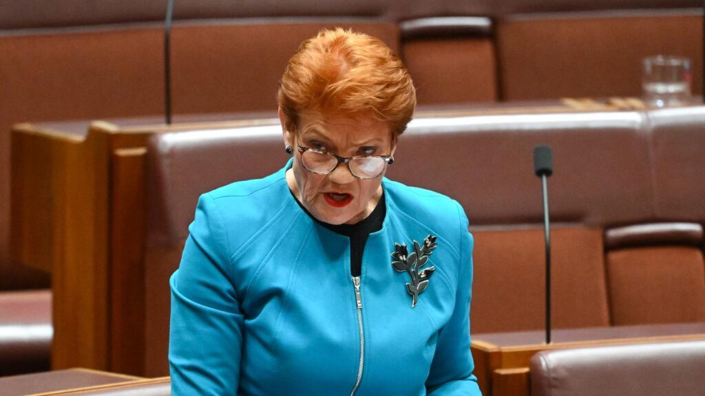 Pauline Hanson has outlined One Nation’s plans to discount oil and gas exploration.
