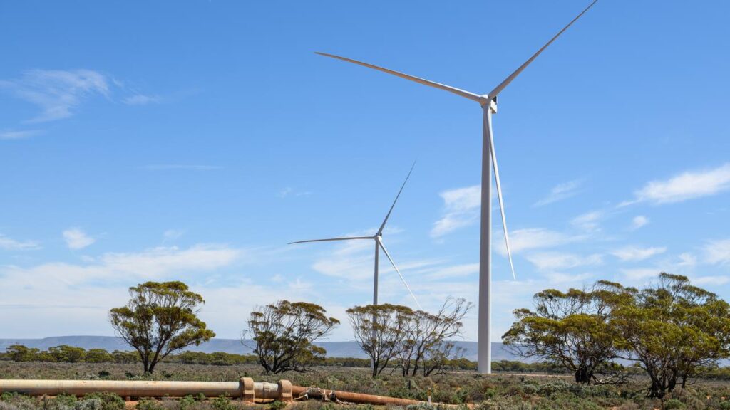 Foreign companies have been forced to sell off shares in an Australian rare earths mining company.
