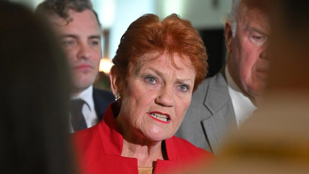Pauline Hanson refused to condemn a One Nation volunteer who shared a post defending Dezi Freeman.
