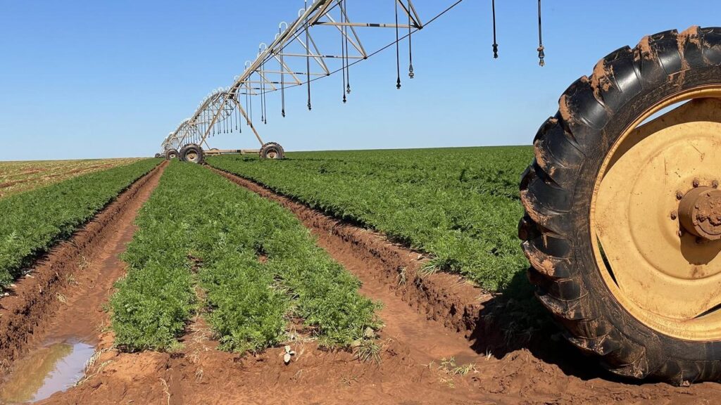 Returns in the water and agriculture sector have generated 10 per cent returns for the last decade.

