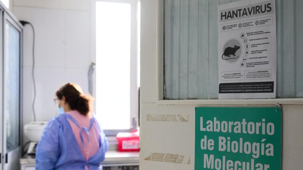The crew and passengers of the MV Hondius have been quarantined in several countries. 

