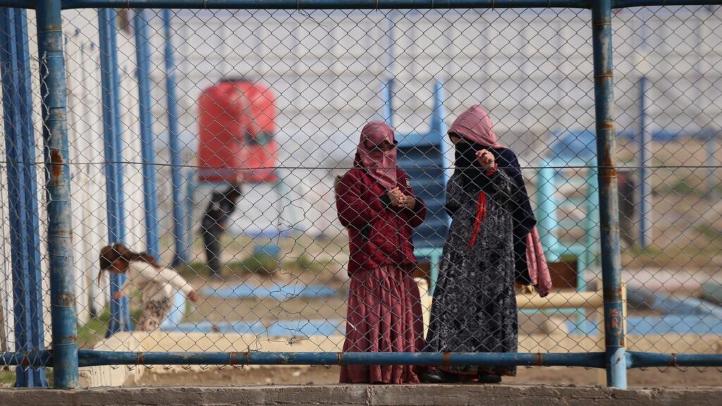 Four women and nine children plan to return to Australia after years in a Syrian refugee camp.

