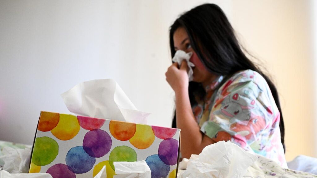 Experts are hoping a needle-free nasal spray for young people will boost flu vaccination rates. 
