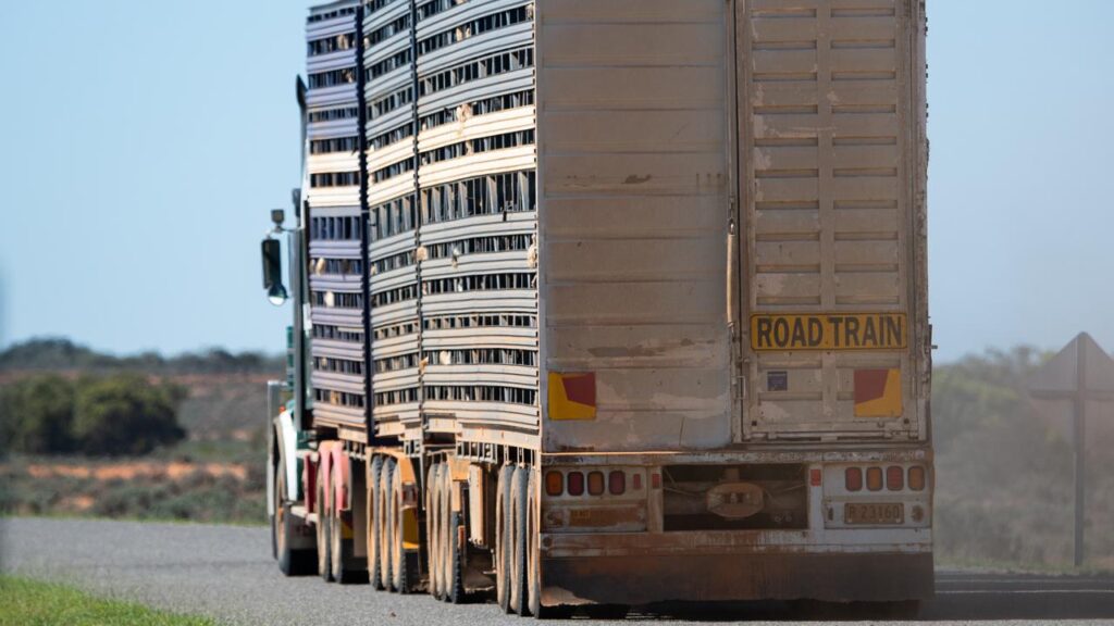 More diesel is on the way to Queensland to help ease regional supply constraints.
