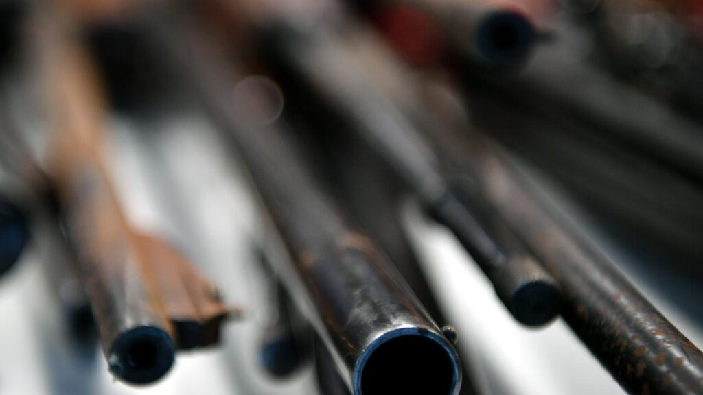 Federal moves to cap firearm ownership and establish a national buyback scheme have been set back.
