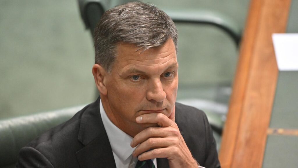 Angus Taylor will target immigration and housing in his reply to the federal budget.
