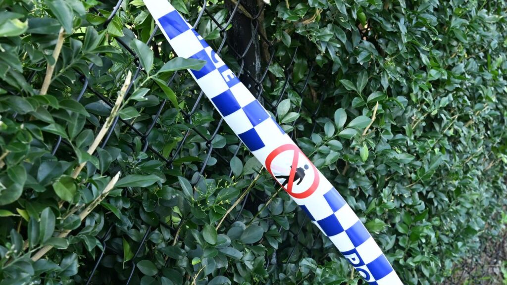A man has been arrested after allegedly assaulting several people and being involved in car crashes.
