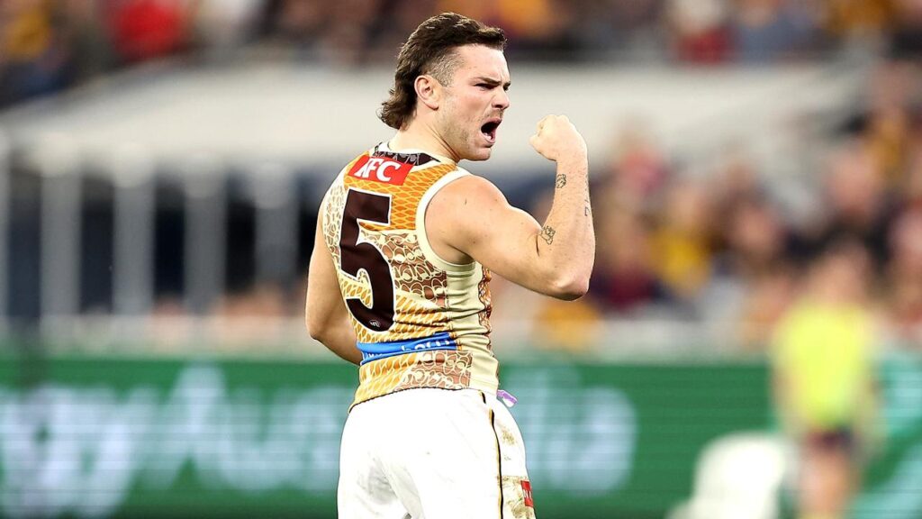 Nick Watson was one of two Hawthorn multiple goalkickers in the win over Adelaide in Launceston.
