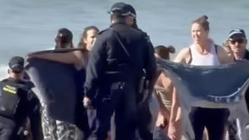 Widespread beach closures are in force after a woman was mauled by a shark up to 4m long.
