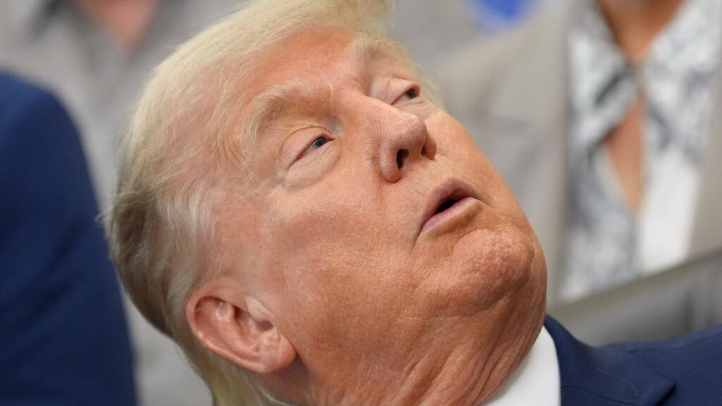 President Donald Trump has pressed Israeli PM Benjamin Netanyahu to stop hitting Lebanon.
