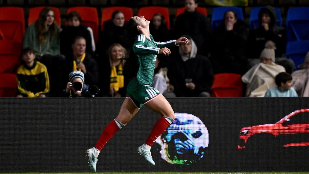 Diana Ordonez scored for Mexico to hand the Matildas a shock loss in Newcastle.

